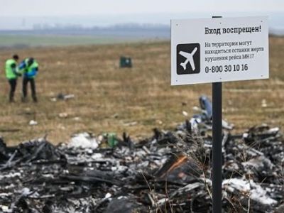 Место крушения MH17. Фото: politeka.net